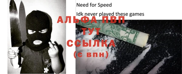 гашик Дмитров