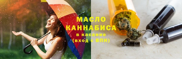 гашик Дмитров