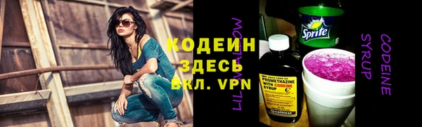 гашик Дмитров