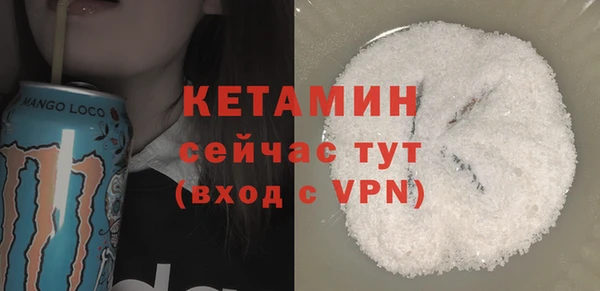 гашик Дмитров