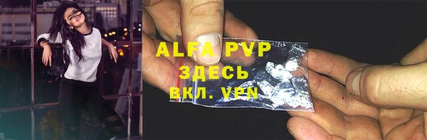 гашик Дмитров