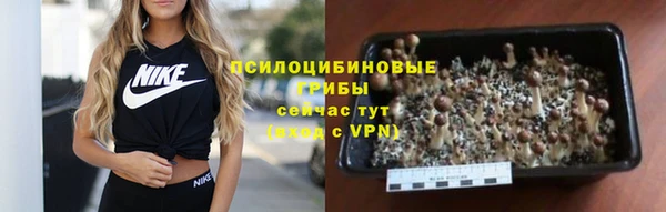 эйфоретик Дмитровск