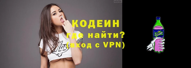 гашик Дмитров