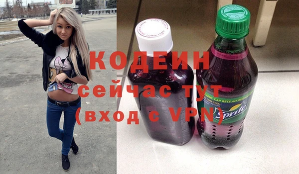 гашик Дмитров