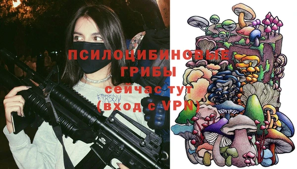 гашик Дмитров