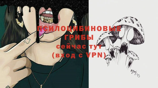 гашик Дмитров