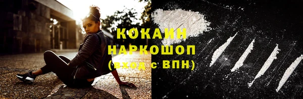 гашик Дмитров