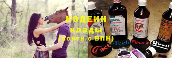 гашик Дмитров